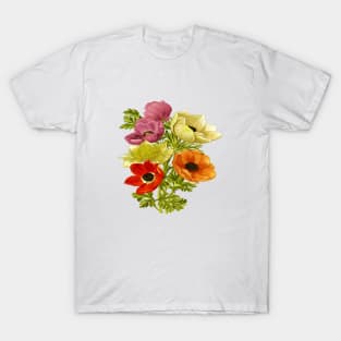 Anemone Windflower Botanical Art Vector Cut Out T-Shirt